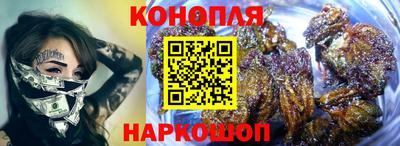 прущие грибы Будённовск