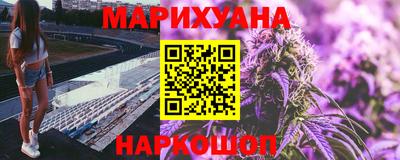 прущие грибы Будённовск