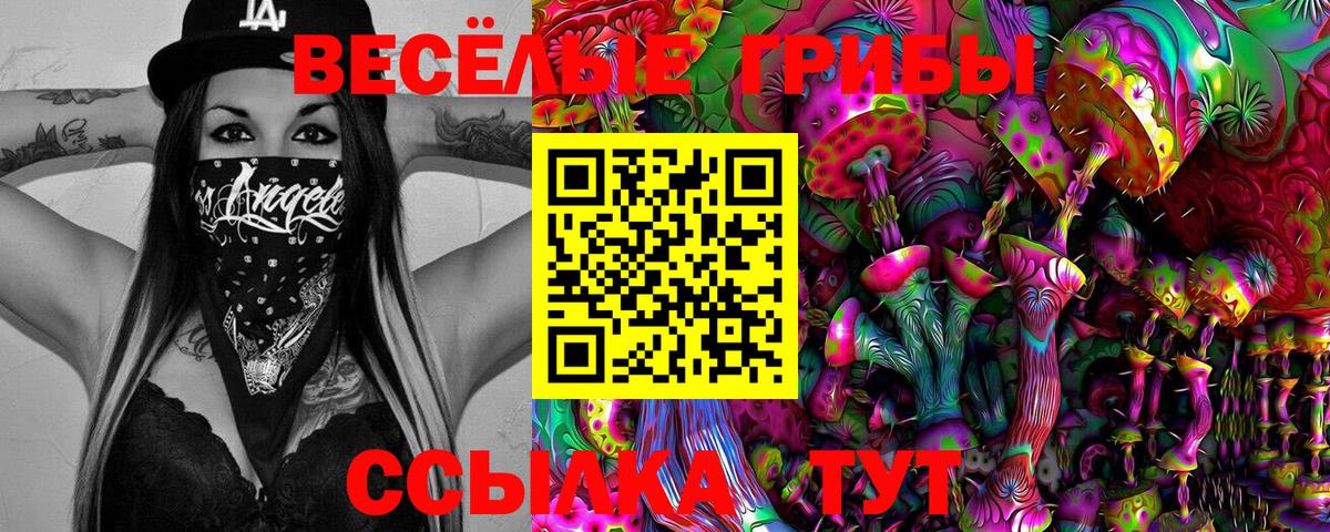 купить закладку  Псилоцибиновые грибы Magic Shrooms  Вход с VPN  Ртищево  Галлюциногенные грибы Magic Shrooms 