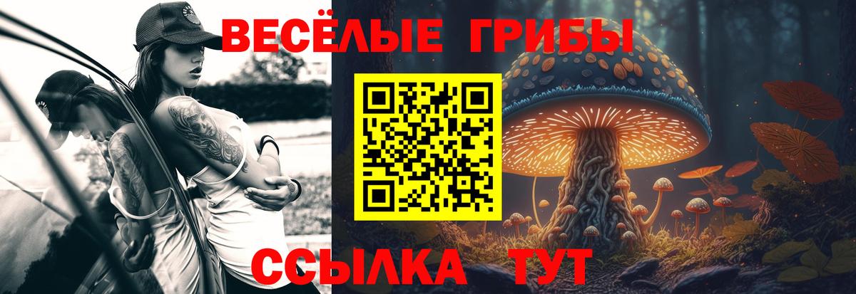 Галлюциногенные грибы GOLDEN TEACHER Ртищево